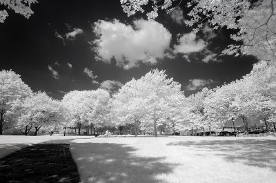 Resize of _DSC2210.jpg