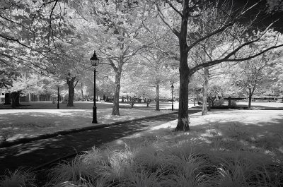 Resize of _DSC2313.jpg