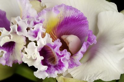 Resize of _DSC3166.jpg