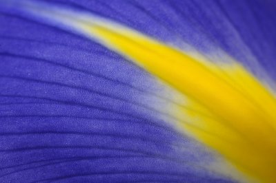 Resize of _DSC4822.jpg