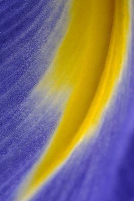 Resize of _DSC4825.jpg