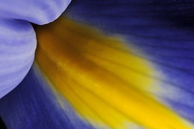 Resize of _DSC4903.jpg