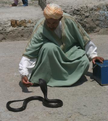g4/18/622718/3/60108135.SnakeCharmer2.jpg