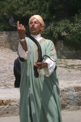 g4/18/622718/3/60108173.SnakeCharmer.jpg