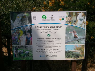 Jerusalem Bird Observatory