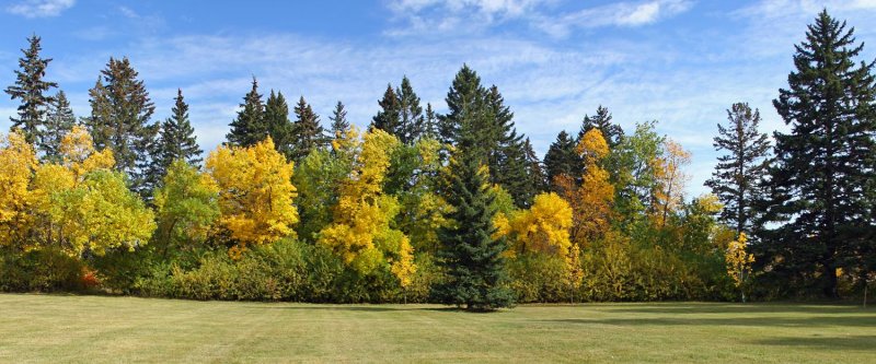 Baker Park, Calgary