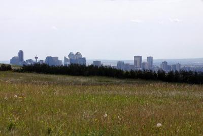 City from Nose Hill