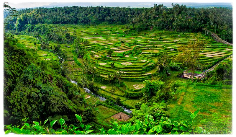 A farmers paradise