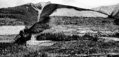Mountain slope, Yoho National Park, Canada