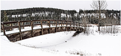Bridge, Cascade Pond, Banff