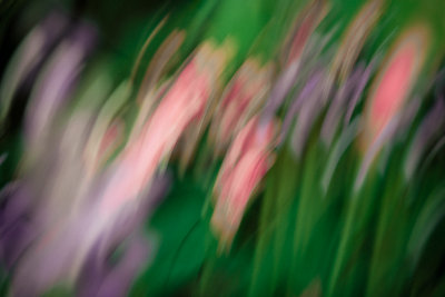 Abstract - pink & green