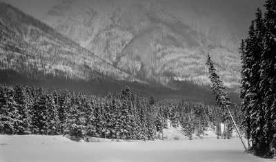 Trees and mountains, Johnson Lake, Banff
