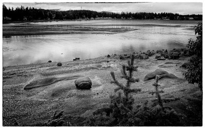 Rocks on the beach, Craig Bay