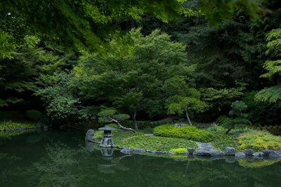 Pond in Nitobe Garden