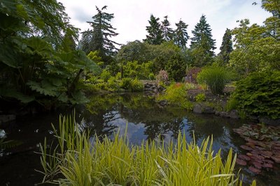 Pond in QE Park