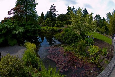 Pond in Queen Elizabeth Park, Vancouver