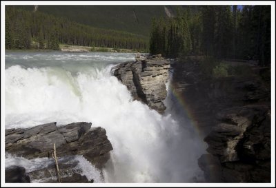 Athabasca Falls