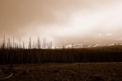 Yellowstone National Park