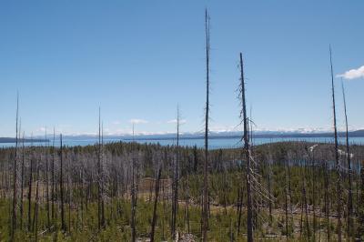 Yellowstone Lake