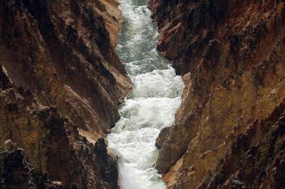 Yellowstone River : Upper Fall