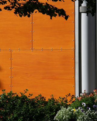 Orange Wall Small.jpg
