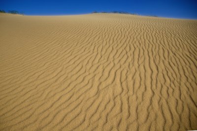 Dune Horizon_web.jpg
