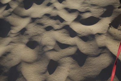 Dune Dog Walk_web.jpg