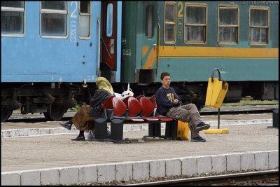 g4/18/67718/3/143879359.VJZLKIlr.jpg
