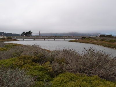 lagoon at Crissy Field