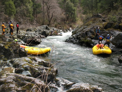 South Fork of the Cal Salmon
