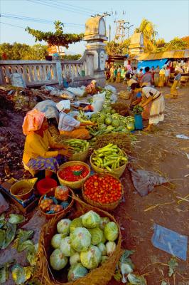 Village market - N Lombok