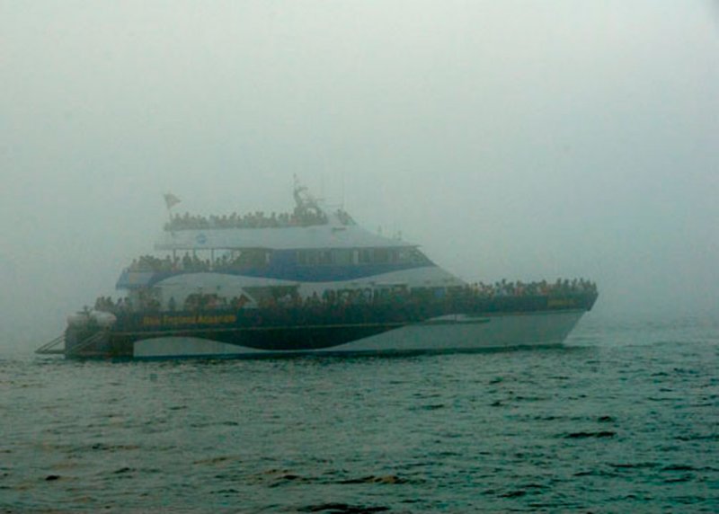 Whale Watch Cruise Boat DSC_12772a-Web8x10.jpg