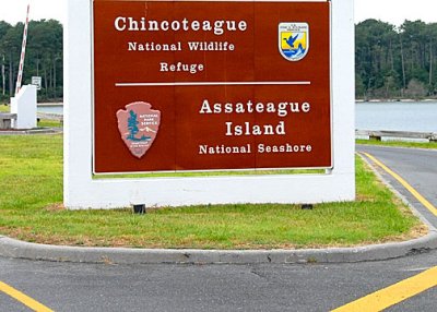 Chincoteague NWR