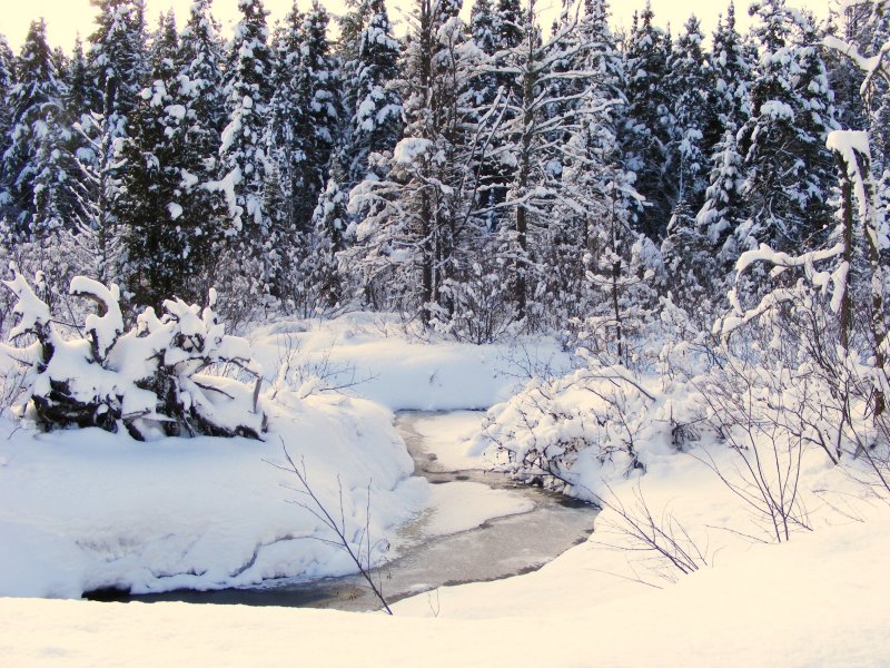 Finland