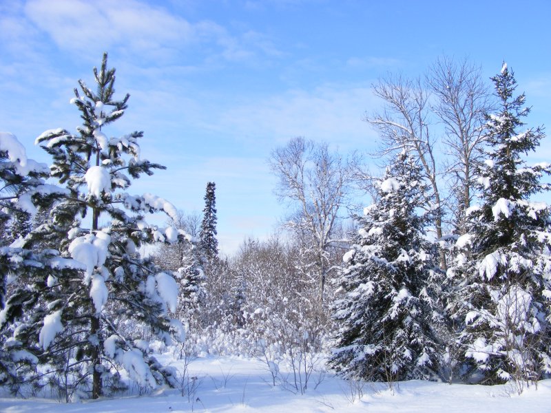 Finland