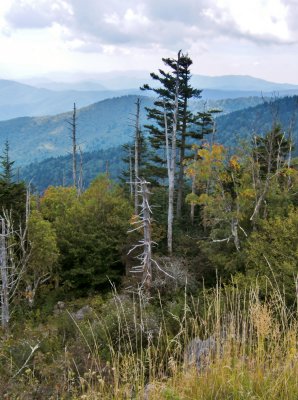 View along trail to the Dome