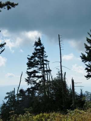View along trail to the Dome