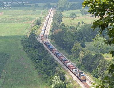 Q130 running through the fields of Virginia copy.jpg