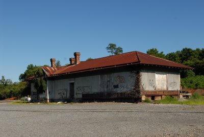 Forest Va.JPG