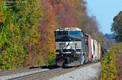 The best colors I have seen this fall. copy.jpg