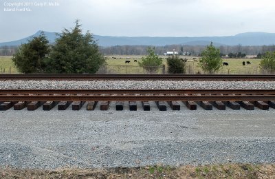 Close up of the rail.jpg