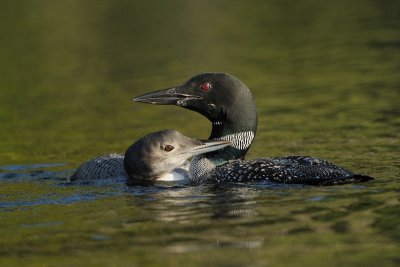 _DSC8618.jpg