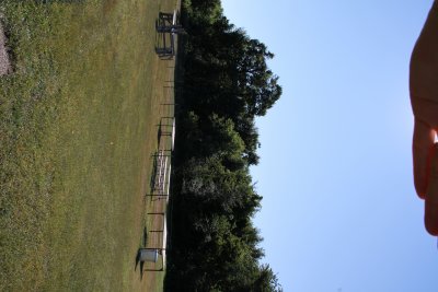 IMG_7535.JPG