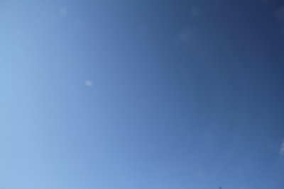 IMG_7566.JPG