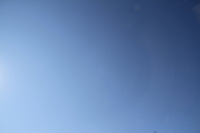 IMG_7569.JPG
