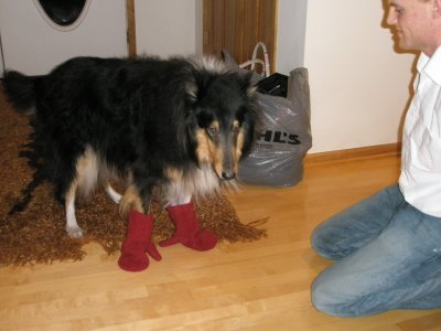 Winter 2007-08