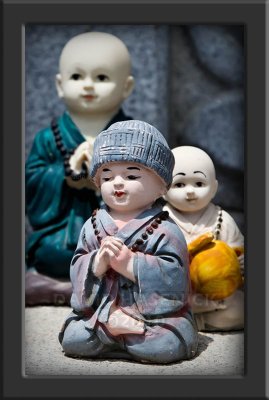 Young Buddhist Monks - Korea