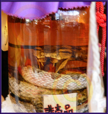 Habu Snake in Awamori Sake