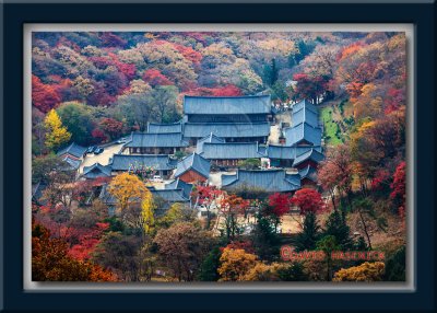 Baegyangsa Buddhist Temple 백양사 - Korea
