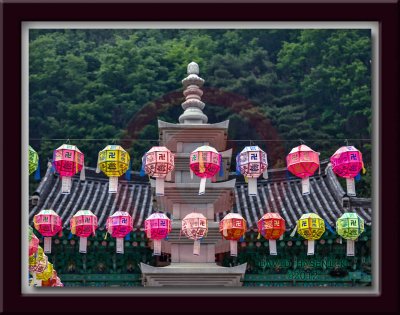 2012 - Buddha's 2556th Birthday Lanterns